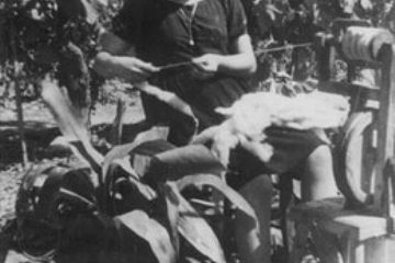 Carla Giuntini al filatoio. Coll. fam. Romoli R.