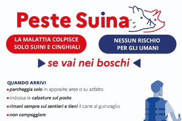  Peste suina africana -  Informazioni e misure per prevenirne la diffusione